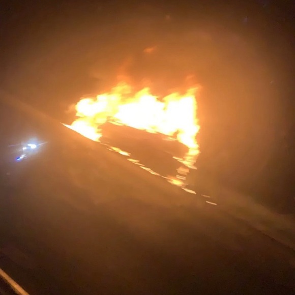 Meet your Posher, Sebastian - Picture 1 of 1